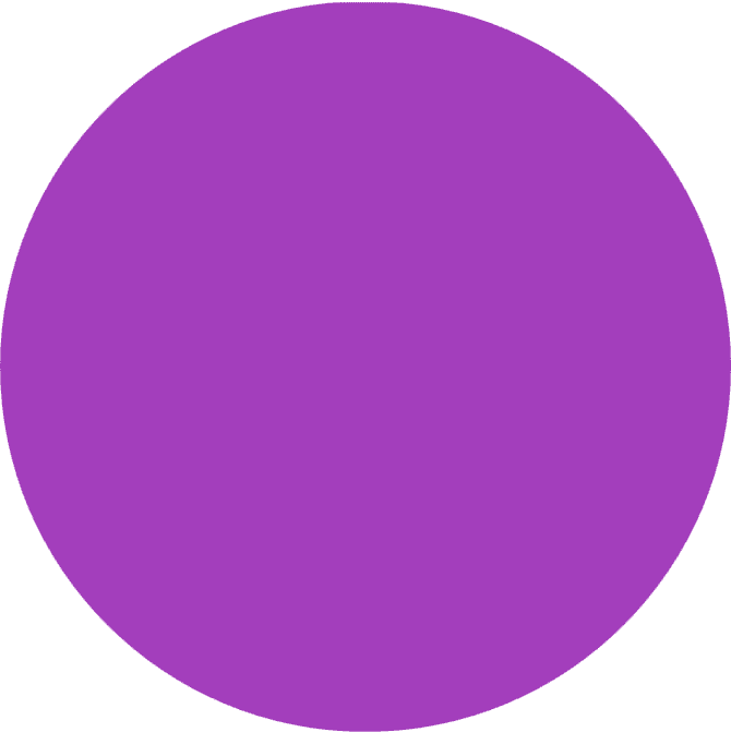 24 Lavender - Image 3