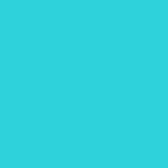 12 Turquoise - Image 2