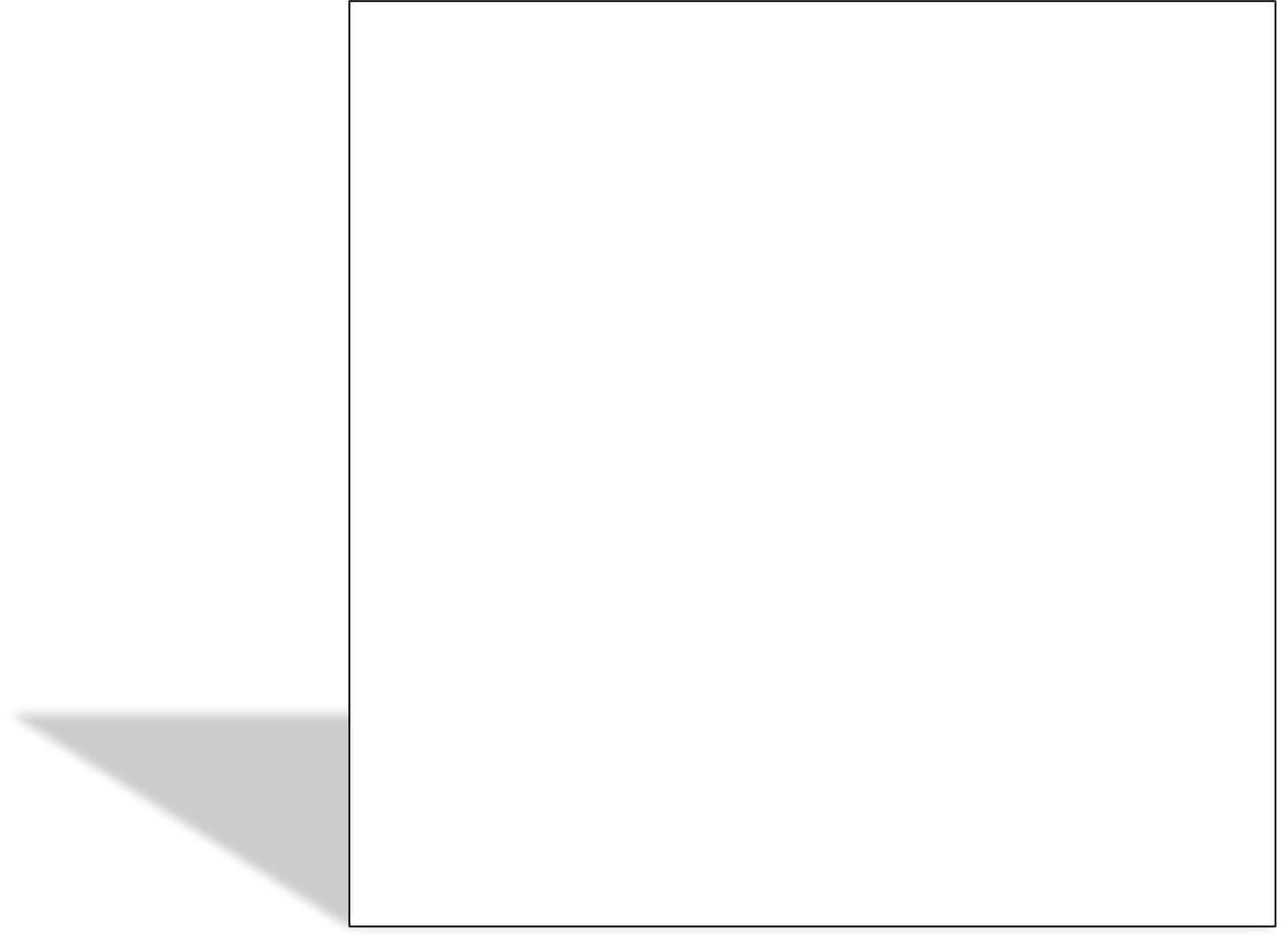 13 White - Image 2