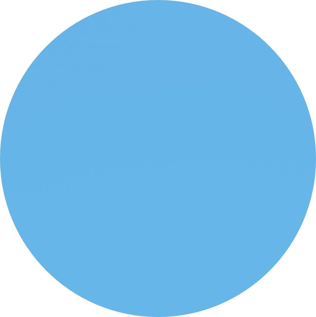 34 Cornflower - Image 3